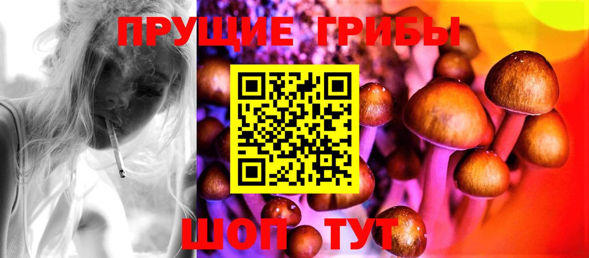 Псилоцибиновые грибы GOLDEN TEACHER  Вход с VPN  Вышний Волочёк 